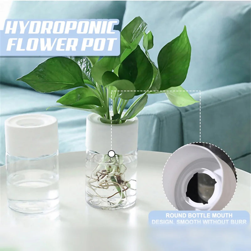 Mini Vaso de Flores Hidropônico para casa, vaso de decoração transparente